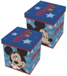 Mickey Mouse Organizavimo Konstruktorius 30x30x30 cm