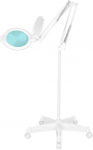 GLOW Moonlight 8012/5" balta LED didinamoji lempa su trikoju