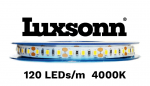 9,6W/m LED juosta LUXSONN, BRIDGELUX diodai, 24V, 120 LED/m, 4000K, 30m ritė