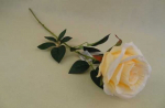 Dirbtinė gėlė ROSE, kreminės sp., 78 cm