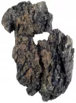 HOBBY akvariumo dekoracija &bdquo;Coober Rock&ldquo;
