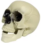 Hisabjoker Ab Čiaupas, 16 cm