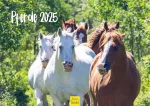 Edition Seidel Premium Kalendorius Arkliai 2025 Formatas Din A3 Sieninis kalendorius Arklių kalendorius Gyvūnai Kumeliukas Kumelė Arklidė Ponis