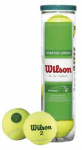 WILSON STARTER Žalias teniso kamuoliukai (4 kam.)