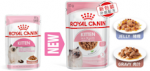 Royal Canin FHN Cat Kitten Instinctive Loaf 12x85 g