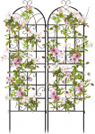 Bonideco Select Rinkinys i&scaron; 2 augalų grotelių 180x50cm., juodos spalvos