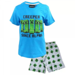 MINECRAFT &scaron;ortų ir mar&scaron;kinėlių komplektas