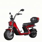 Dayi Motor Elektrinis motoroleris E-baldur A9 OFFROAD EEC