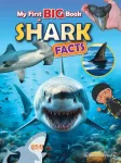 KNYGA Belinda Gallagher My First BIG book of SHARK Facts