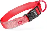 Zolux Obroża &scaron;uniui su nylonu premium 35-40 cm/20 mm S kol. raudona