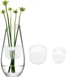 2 x gėlių stiebų laikiklis, spiralinis Ikebana stiebų laikiklis, gėlių kompozicijų spiralinis stiebų laikiklis vazoms, Hanataba gėlių laikiklis, Ikebana puok&scaron;tės suktuvas, &bdquo;pasidaryk pats&ldquo; puok&scaron;tės suktuvas, stiebų laikiklis gėlėms