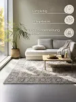 Hanse Home Design kilimas oriental - orientalistinis kilimas svetainei - klasikinis oriental tankiai austas, mink&scaron;tas trumpo plauko kilimas miegamajam, valgomajam, svetainei - kreminės pilkos spalvos, 80 x 120 cm