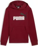 Puma Sportinis Kostiumas Paaugliams TeamRise Tracksuit Jr Juodas 658655 03