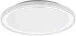 Lubinis &scaron;viestuvas 24W LED pavir&scaron;inis &scaron;viestuvas ORBIS PEDERSON, baltas, 3000K