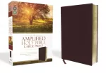 KNYGA Bookshop Amplified Holy Bible, Large Print, Bonded Leather, Burgundy