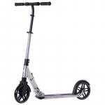 Rideoo 200 PRO City Sidabrinis