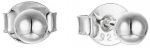 Sidabriniai auskarai Brasco 55843