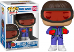 Funko POP! Dumb Dumber Ski Lloyd Kalėdų 1043 specialusis leidimas