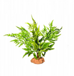 Terra Natura Terariumo dekoracija dykumos augalas ant stovo didelis 29cm