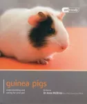 KNYGA Bookshop Guinea Pig - Pet Friendly