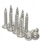 Nerūdijančio plieno medvaržčiai 5x30mm Torx, 10 vnt.
