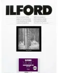 1x100 Ilford MG RC DL 44M 18x24