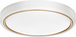 Lubinis &scaron;viestuvas Modernus LED lubų plafonas Activejet VERDI Baltas/Gold 23W