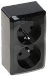 LIZDAS MONTUOJAMAS ANT PAVIR&Scaron;IAUS DVIGUBAS BERG/3743-09/EPN 250 V 16 A Elektro-Plast