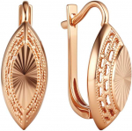 Auksiniai auskarai Brasco 55254