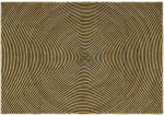 Kilimas Natūrali ir juoda 240 x 340 cm Džiutas