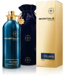 Montale Paris Aoud Ambre Eau De Parfum - unpacked 100 ml (unisex)