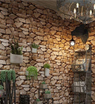 C-TECH Akantha žaidimų pelė