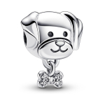Moteri&scaron;ki karoliukai Pandora PET DOG & BONE
