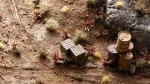 Gamers Grass Gamers Grass: Lazeriniai augalai - Raudonas alavijas - Aloe ginkluotas