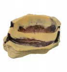 Terra Natura Terariumo dekoracija, dykumos terariumo dubuo, 12 cm