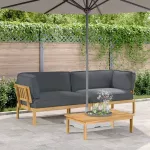 Sofa Sofos komplektas 2 vnt. Antracitas Kietos akacijos mediena