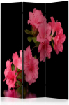 Pertvara - Azalea in Juodas [Room Dividers]
