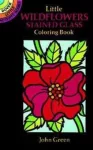 KNYGA John Little Wildflowers Stained Glass Coloring Book