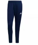 Adidas Tiro 21 Training M GE5427 kelnės