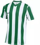 Nike Dri-FIT Juostuotos Diviziono V Jaunimo Mar&scaron;kinėliai FZ9341-103