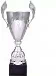 Sidabrinė metalinė taurė 4127E