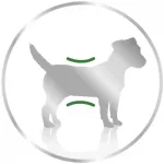 Royal Canin Mini Ageing &scaron;lapias pa&scaron;aras &scaron;unims - 12x195g
