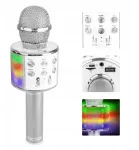 Karaoke mikrofonas su Bt garsiakalbiu Mp3 Rec Led