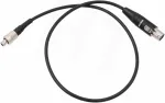 Hangton 50cm Xlr Neutrik Mini Xlr 3-pin Female Ta3f į Lemo Fvb 00b 3-pin Male Audio kabelis, skirtas Sennheiser Sk/zaxcom Trx900 Wisycom mikrofonų universaliam mikrofonų maitinimo &scaron;altiniui (ump)