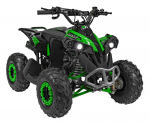 1Deame RENEGADE HIPERFECT 110CC žalias motorizuotas keturratis