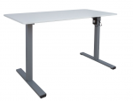 Home4You Desk ERGO LIGHT with 1 motor 120x60xH73-118cm, baltas/sidabrinis pilkas