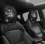 Automobilio galvos atramų užvalkalai su katės motyvu, 2 vnt.