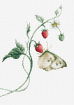 luca S Vasaros aromatas SB2268