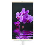 Naujos kartos ilgųjų infraraudonųjų spindulių &scaron;ildytuvas orchidėja