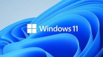 Microsoft &bdquo;Oem win Pro&ldquo;, skirtas wrkstns 11 pl x64 hzv-00117